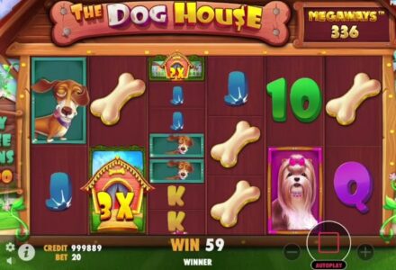 Best Crypto Casinos in Canada 🎰💎 Play, Win, and Enjoy Big Bonuses Today! 🇨🇦🪙, Video Screenshot, tags: players 7bit - youtube