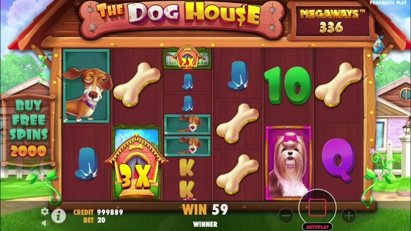 Best Crypto Casinos in Canada 🎰💎 Play, Win, and Enjoy Big Bonuses Today! 🇨🇦🪙, Video Screenshot, tags: players 7bit - youtube